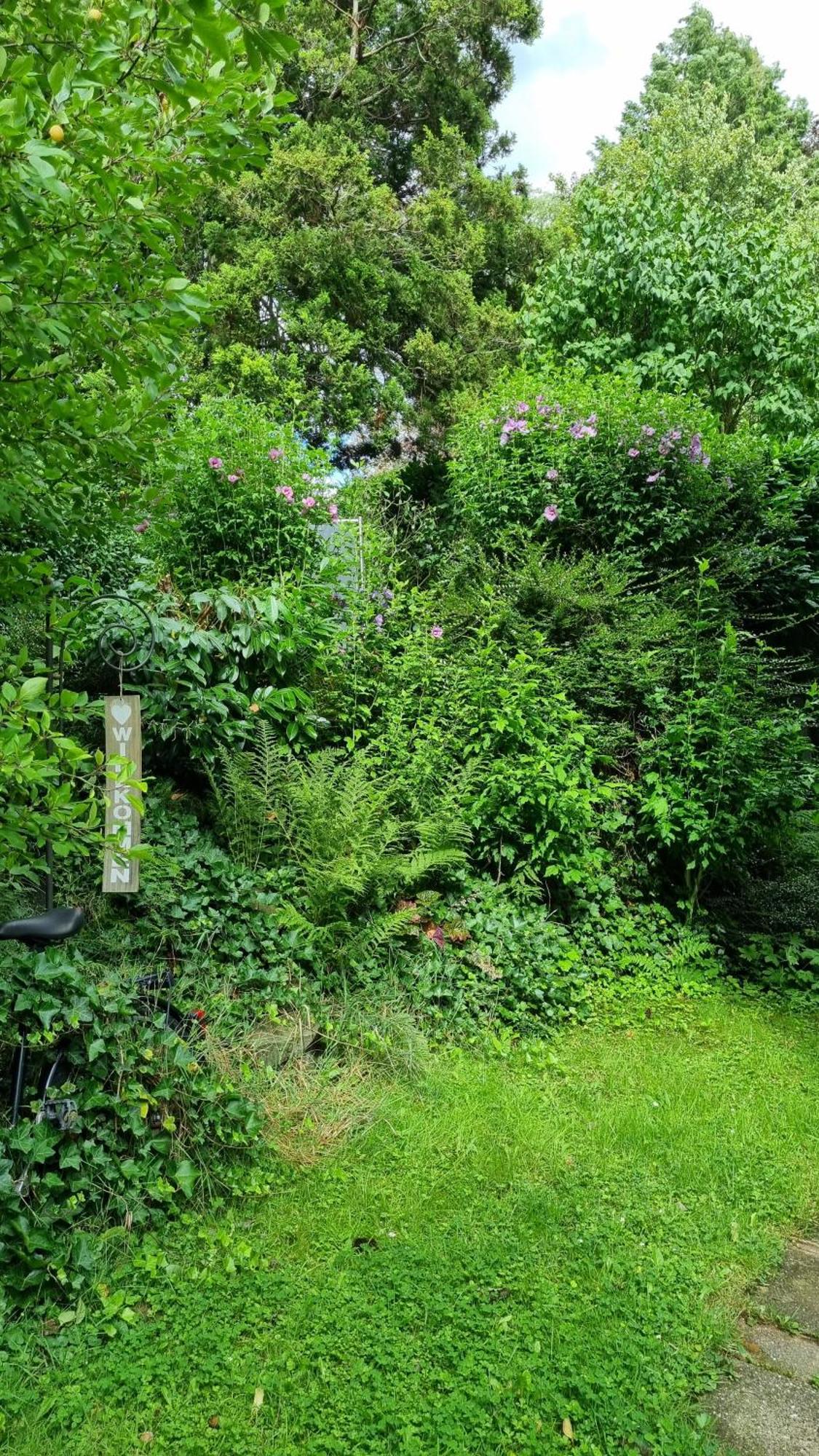 Ländlich Ruhig Im Bergischen Land Leichlingen